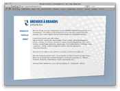 www.brenderabrandis.nl